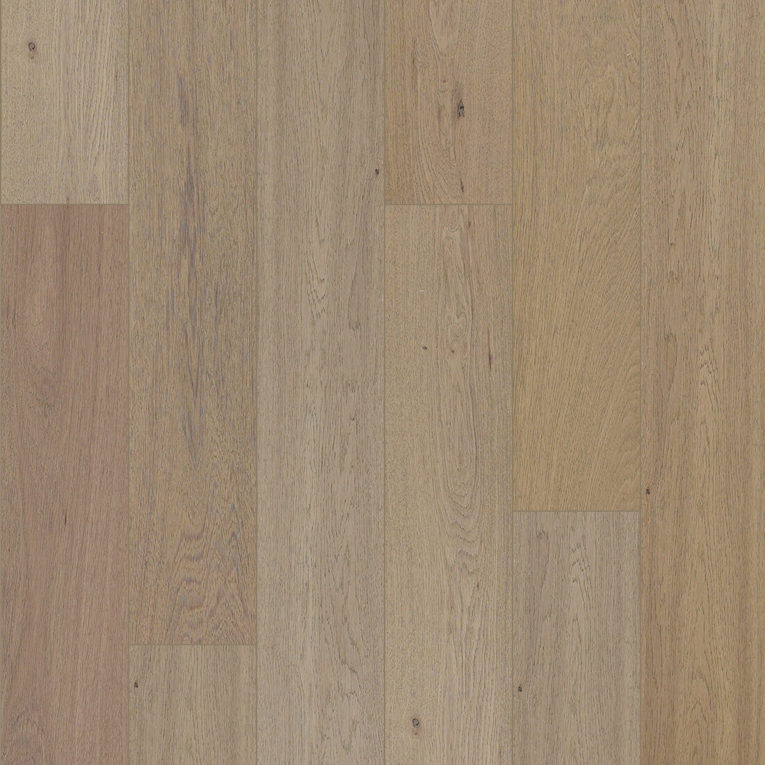 Harmony - Toffee Oak