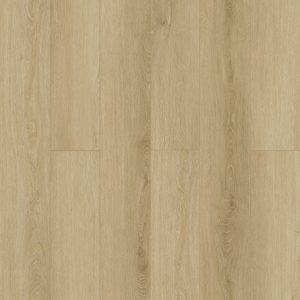 GELEAC48001 Snowbank Oak (1)-min