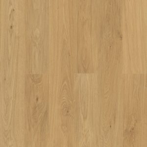 GELEAC48007 Mallee Oak (1)-min