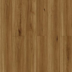 GELEAC48008 Outback Oak (1)-min