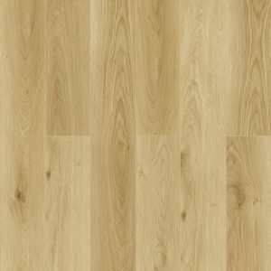 GELEAC58005 Dune Oak (1)-min
